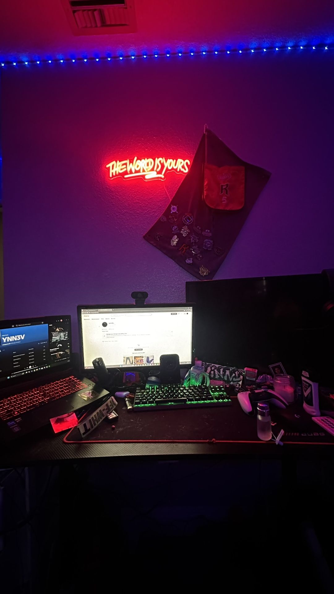Gaming Setup