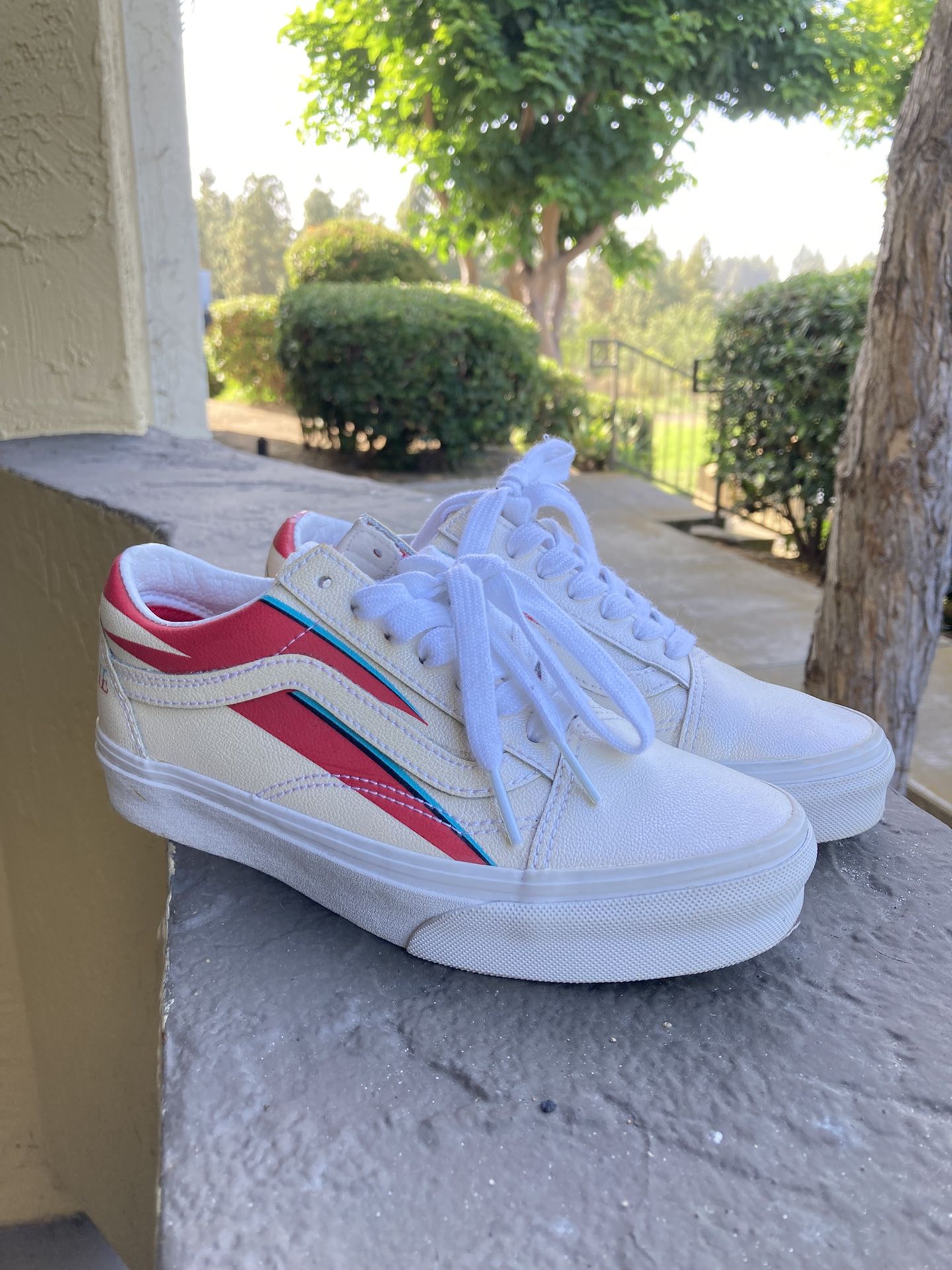 David Bowie Vans Shoes