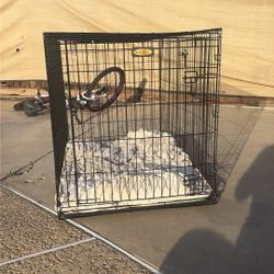 Dog Kennels 