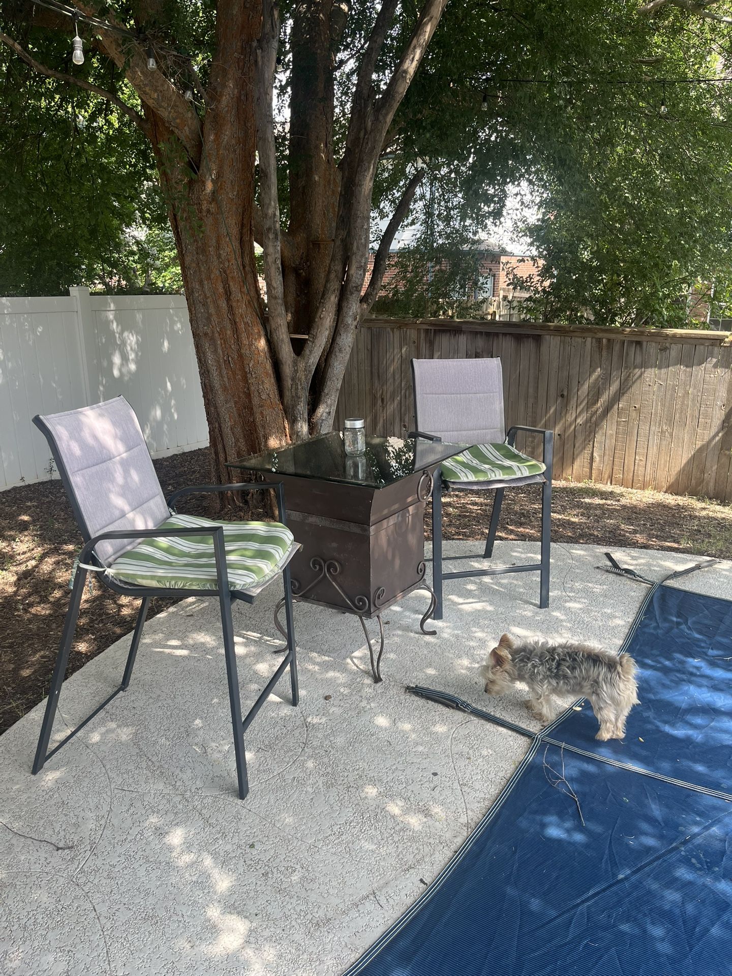 Backyard Table And Chairs