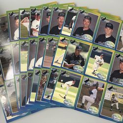 Tampa Bay Devil Rays Inaugural Season Team (9- Uncut Perforated Sheets)