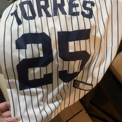 Dog Yankee Jersey 