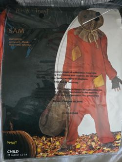 Sam Halloween Costume 