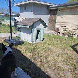 Owner Built Dog House 