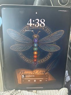 Apple iPad Pro 13-inch M4 1TB Wi-Fi + Cellular (2024) - Excellent Condition