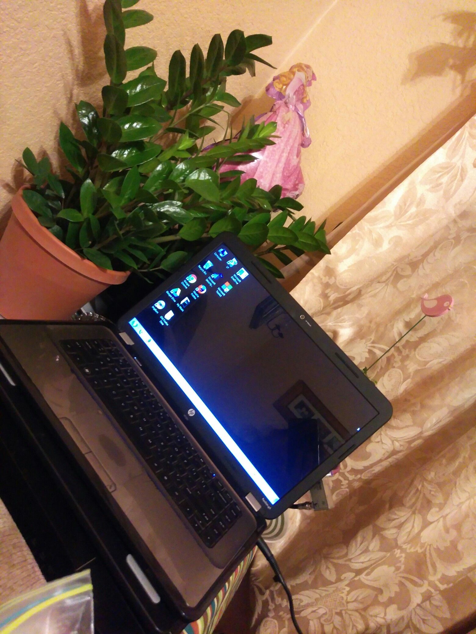 Hp laptop