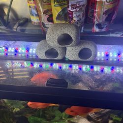 Fish Tank Decor 