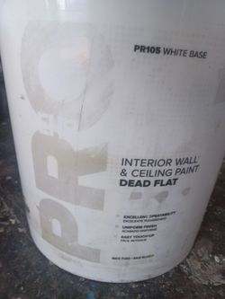 5 gallons Interior ceiling wall white paint