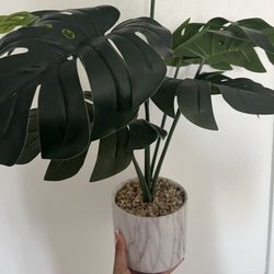 Fake plant, Marble pot 