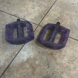 Purple pedals 