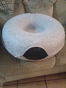 Cattasaurus cat tunnel.