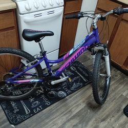 Schwinn Bike 24 Inch 