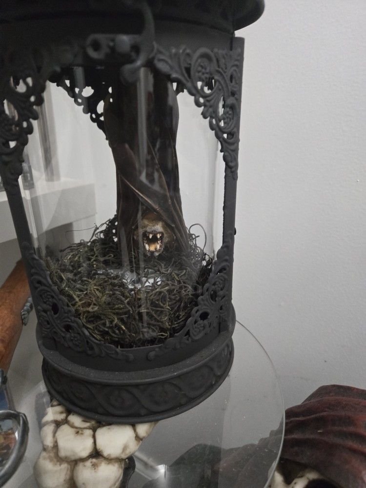 Lantern With Fruit Bat 