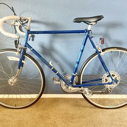 Rare Vintage Raleigh Gran Sport - Professional 10-Speed Bicycle