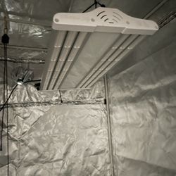 Electric Sky Grow Light 