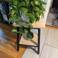 Side Table/Plant Stand