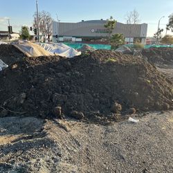 Free Dirt