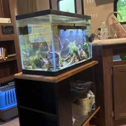 Everything Included! Aquarium Tank 