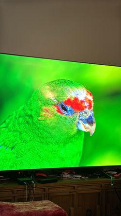 tcl 120hz 75” smart tv