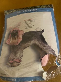 Dog Bunny Costume