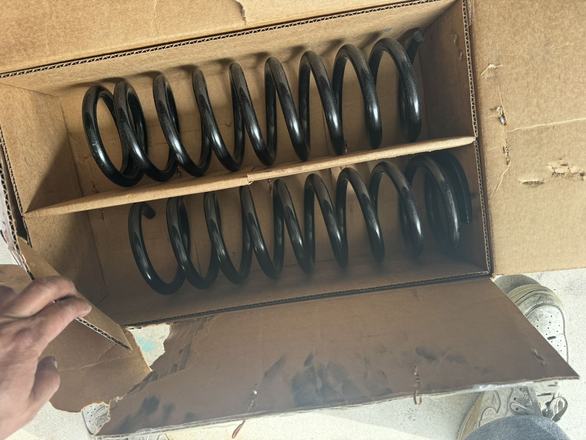 Mustang Coil Springs 