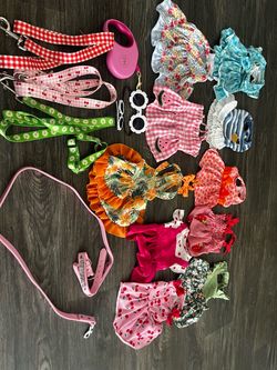 dogs clothes