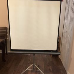 Projector Screen 