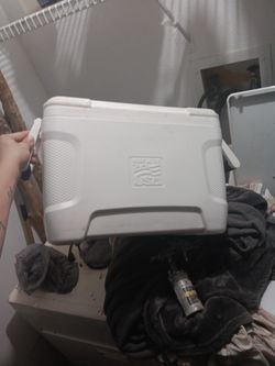 Igloo Cooler