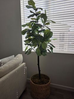 Artificial Fiddle Leaf Fig Tree with Basket