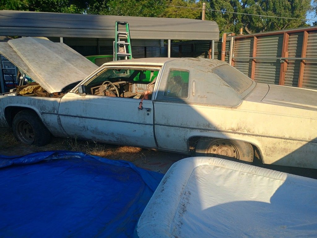 79 Caddi