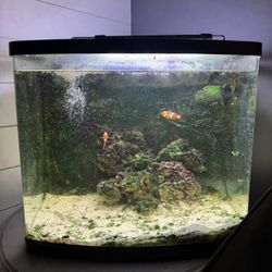 25gal Salt Water Tank