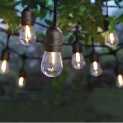 Indoor/outdoor LED Light 