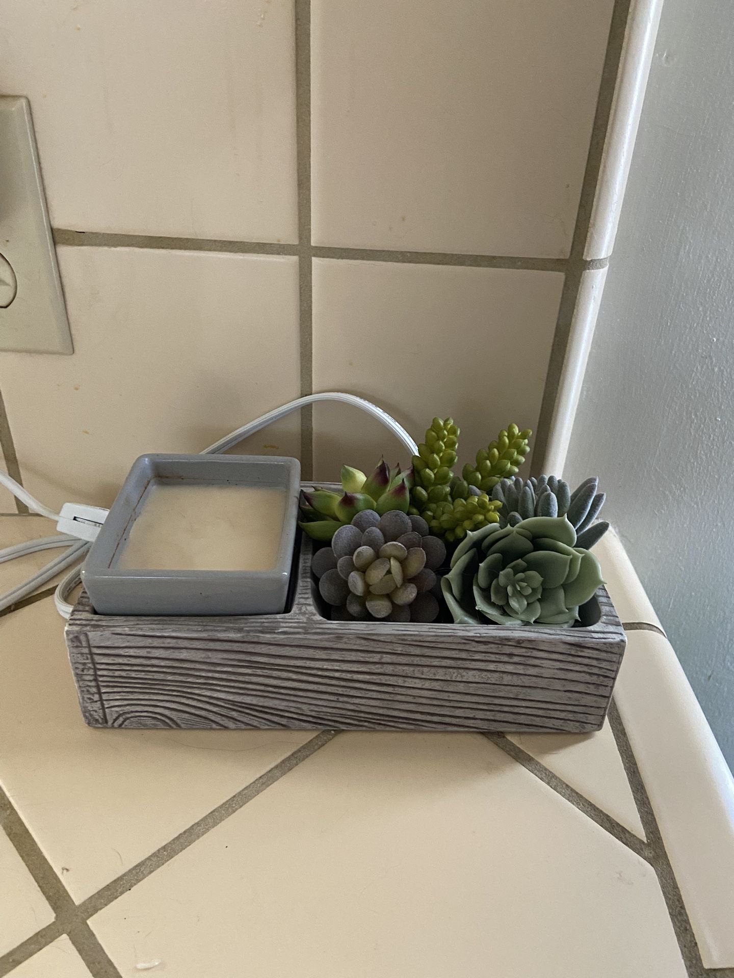 Scentsy Succulent Garden.