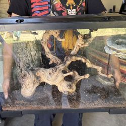 15 Gallon Reptile Tank