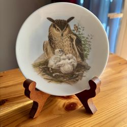 Miniature Porcelain Plate Owls Home Decor