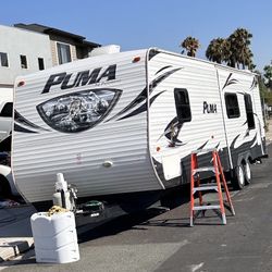 2014 Palomino Puma