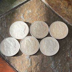 6 - Silver Morgan Dollars! See Key Dates! All Extra Fine Or Higher Grade! 