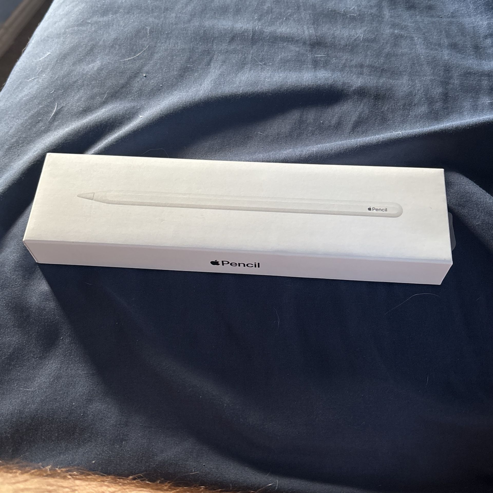 Apple Pencil 2nd Gen