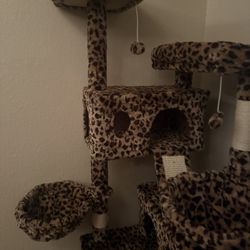 65 inch leopard cat tree