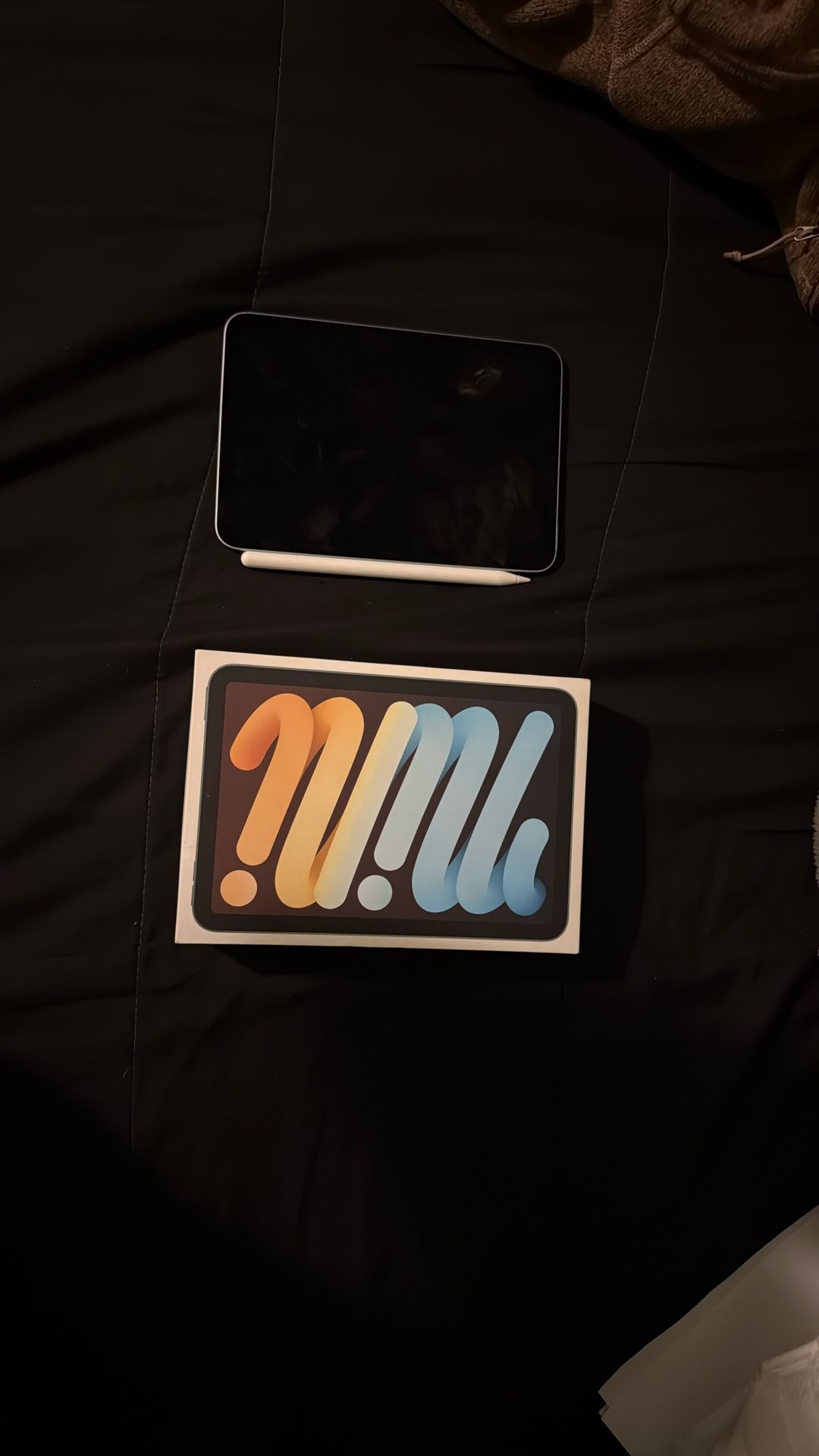 Ipad mini pro pro apple pencil included no charge