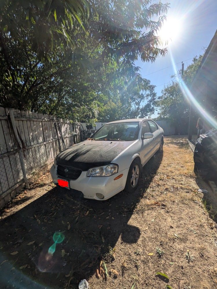2001 Nissan Maxima