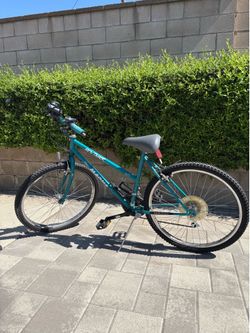 Mountain bike