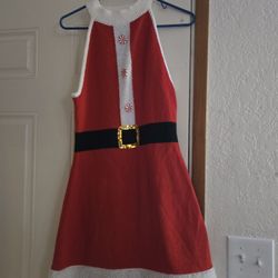 Womens Size Large Santa Dress 