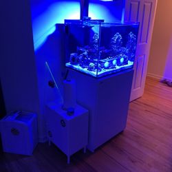 Salt Water Tank RedSea Reefer 170 + Radon XR 15 Blue 