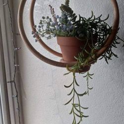 Solid Wood Circle Plant Hanger 