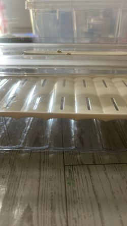 Food container with record food date