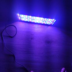 Bestva 2000 Watt Vegetable And Flower Light