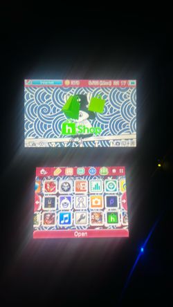 3ds /dsi modding service
