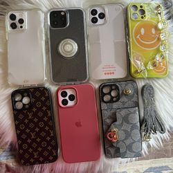 iPhone 13 Pro Max Case