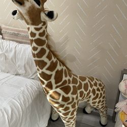Doug And Melissa Giraffe $20